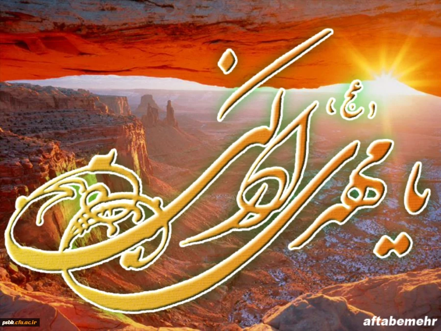 یامهدی ادرکنی