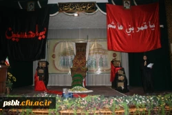 همایش خورشید جاری 4 همراه با رونمایی از مراحل پایانی دوخت پته مرقد مطهر حضرت سیدالشهداء علیه السلام در تاریخ 92/10/7 با حضور  اساتید ، همکاران ، دانشجویان و جمع پته دوزان شریف کرمانی در سالن اجتماعات پردیس شهید باهنر برگزار گردید. در این همایش از شرکت کنن