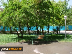 تصاویری از پردیس شهید باهنر ساختمان شماره 1 و2