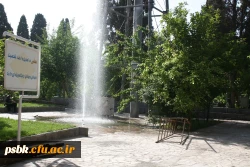 تصاویری از پردیس شهید باهنر ساختمان شماره 1 و2