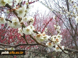 مطالب خواندنی