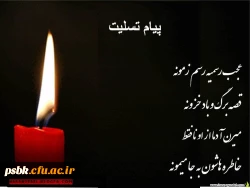 سرکار خانم طاهری درگذشت برادر گرامیتان را به شما تسلیت عرض می نماییم انشاءالله خداوند متعال روح پاکش را با مولایش علی علیه السلام محشور فرماید.