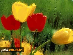 معاونت آموزشی