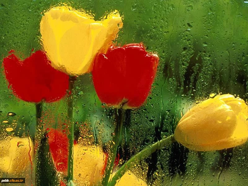 معاونت آموزشی