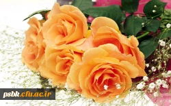 معاونت مالی اداری