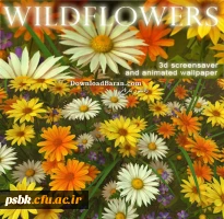 اخبارفرهنگی