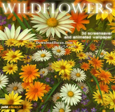 اخبار فرهنگی