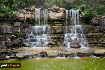 اطلاعیه ثبت نام پذیرفته شدگان دانشگاه فرهنگیان