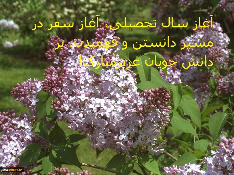 آغاز سال تحصیلی، آغاز سفر در مسیر دانستن و فهمیدن، تا مقصد بزرگ شدن، بر دانش جویان عزیز مبارک!