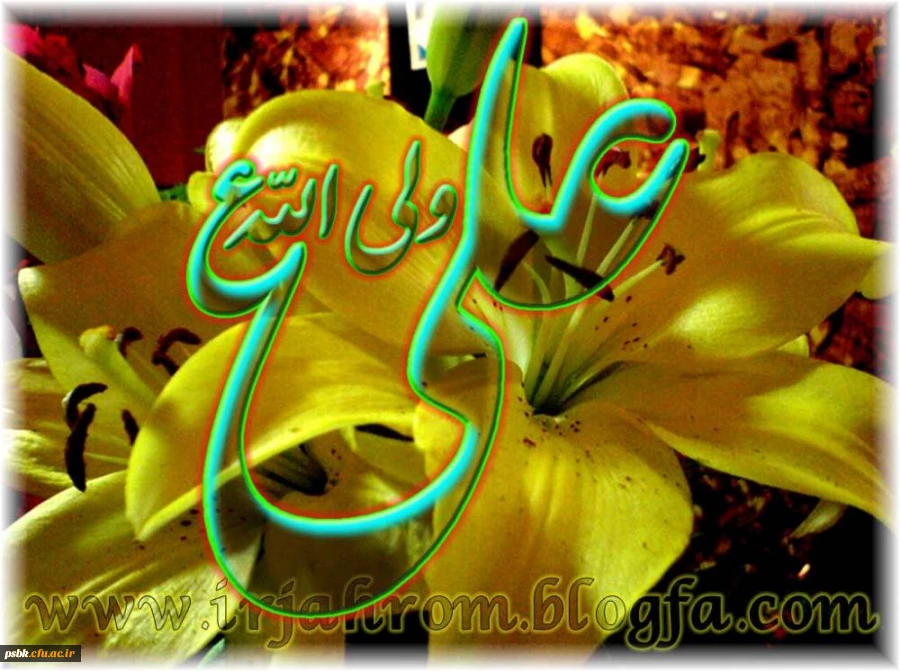 اگر بر دشمنت دست یافتى ، بخشیدن او را شکرانه پیروزى قرار ده.