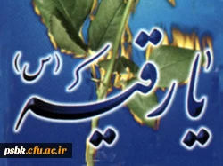 امام حسین علیه السلام فرمود:                     
« ای بندگان خدا : خود را مشغول دنیا نکنید که همانا قبر خانه ای است که  عمل ( صـــــــالح )
می خواهد ،پس عمل و فعالیتی کنید ( که در قبر مفید و نجات بخش باشد ) و از آن غافل نشوید               الشهاده، ص47