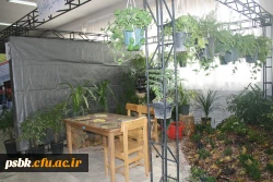 افتتاحیه هفته پژوهش