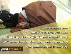 یا ابا صالح المهدی ادرکنی