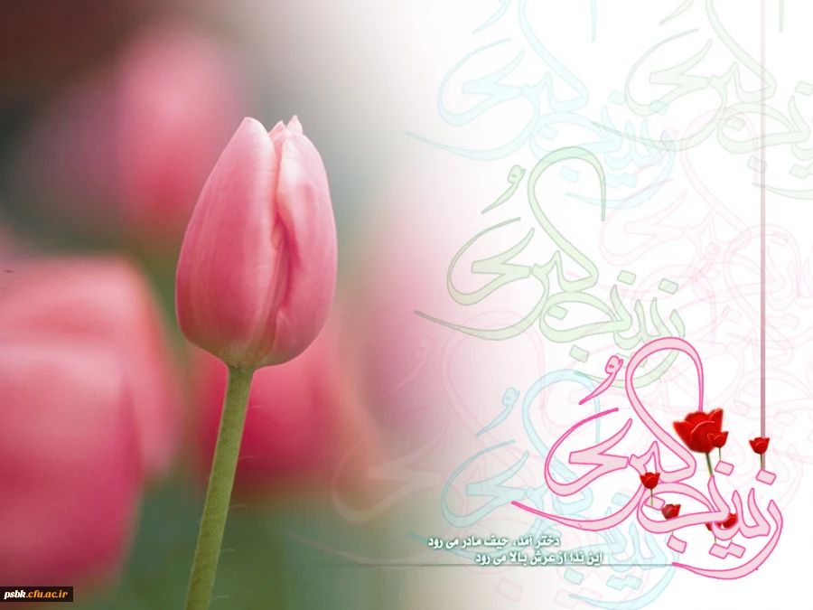 این حرفه پرستارى، ترکیب عجیبى است: از یک سو، ترکیبى است از رحمت و عطوفت و مهربانى و مراقبت، و از سوى دیگر، دانش و معرفت و تجربه و مهارت.(مقام معظم رهبری)