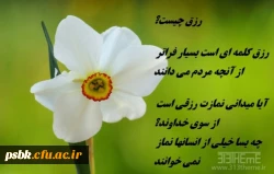یا رب العالمین