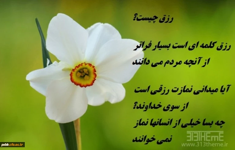 یا رب العالمین