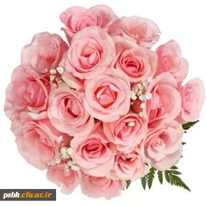 قابل توجه دانشجویان محترم 

15 دقیقه قبل از امتحان حضور داشته باشید