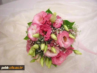 اردوی سه روزه قم -تهران 

با همکاری نهاد رهبر برگزار گردید