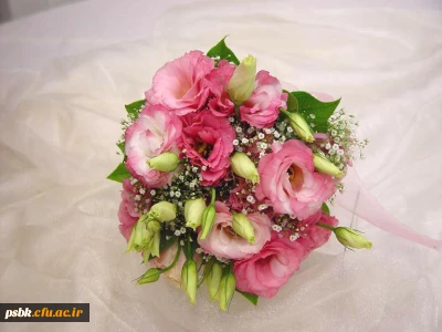 اردوی سه روزه قم -تهران 

با همکاری نهاد رهبر برگزار گردید