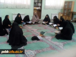 قرائت قرآن هدیه به پیشگاه حضرت علی علیه السلام  توسط همکاران