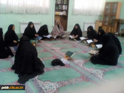 قرائت قرآن هدیه به پیشگاه حضرت علی علیه السلام 

توسط همکاران پردیس