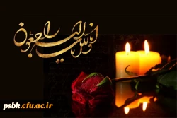 سرکار خانم مالکی 
درگذشت از دست دادن پسرتان بسیار سنگین است این ماتم جانگداز را به،شما وخانواده محترم تان صمیمانه تسلیت عرض نموده و برایتان صبر و اجر و برای آن عزیز سفرکرده علو درجات طلب می کنیم.