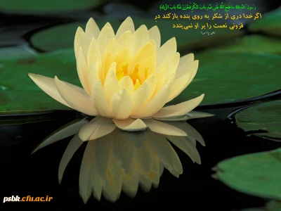 خواهی نشوی رسوا همرنگ جماعت شو!‍