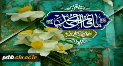 السلام علیک یا ربیع الأنام