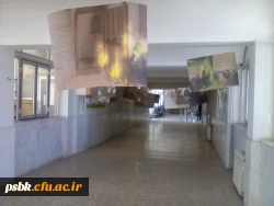 برگزار ی نمایشگاه عکس و پوستر به مناسبت ولادت حضرت زهرا سلا م الله علیها