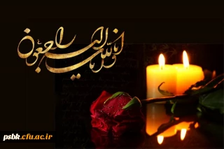 جناب آقای محمود زاده