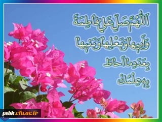 نگاهی به منش سیاسی حضرت فاطمه زهرا سلام الله علیها