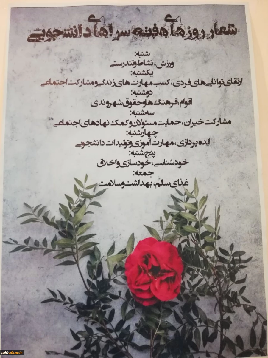 هفته سراها در پردیس شهید باهنر کرمان 2