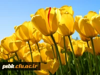 اتوماسیون اداری(کارمند)