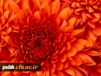 سامانه آمار و اطلاعات